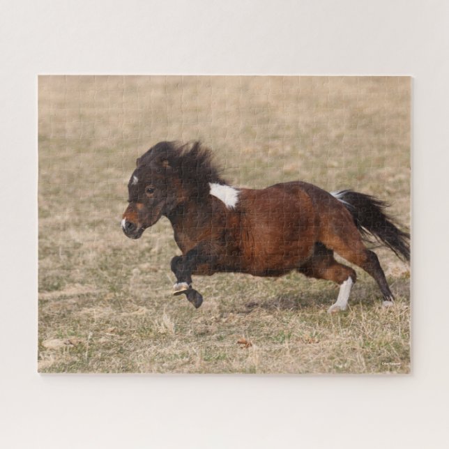 Bob Langrish | Miniature Pony Running Fast Jigsaw Puzzle (Horizontal)