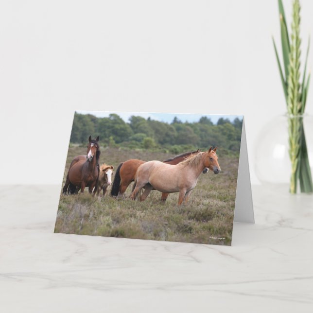 Bob Langrish | New Forest Ponies and Foal Card (Front)