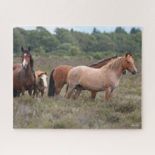 Bob Langrish New Forest Ponies and Foal Jigsaw Puzzle
