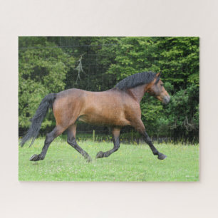 Bob Langrish New Forest Pony Stallion Jigsaw Puzzle