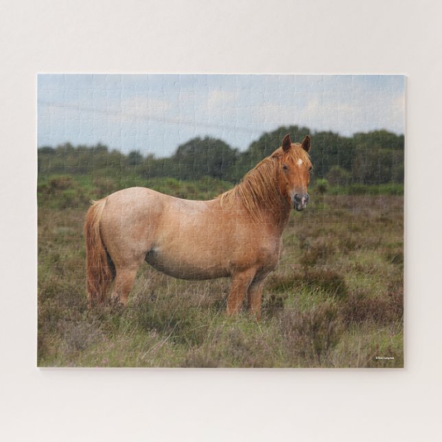 Bob Langrish | New Forest Pony Standing In Scrub Jigsaw Puzzle (Horizontal)