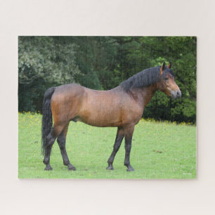 Bob Langrish New Forest Pony Standing Jigsaw Puzzle