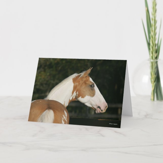 Bob Langrish | Paint Horse Headshot Card (Front)