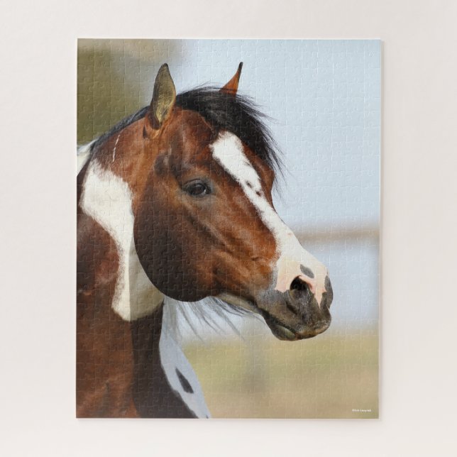 Bob Langrish | Paint Horse Stallion headshot Jigsaw Puzzle (Vertical)