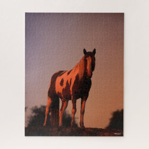 Bob Langrish Paint Horse Standing at Sunset Jigsaw Puzzle