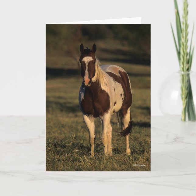 Bob Langrish | Paint Horse Standing Card (Front)