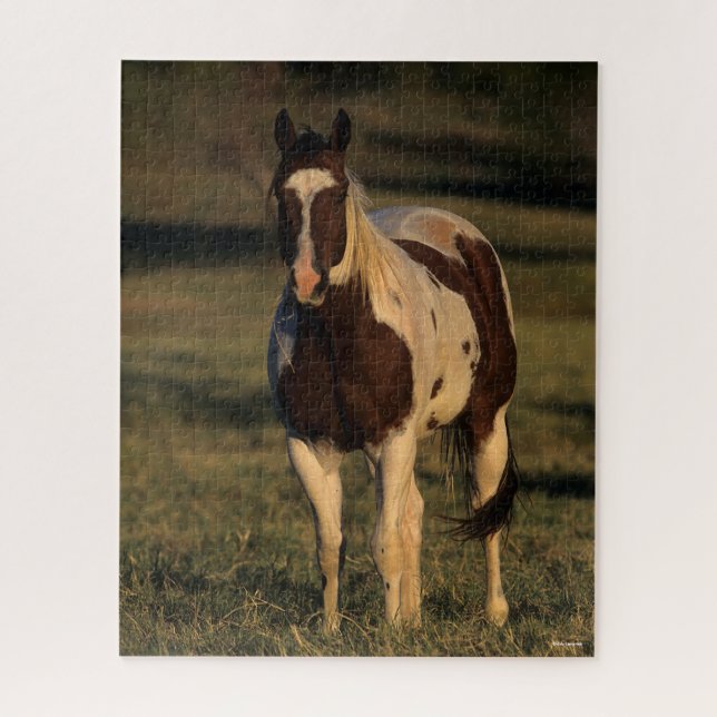 Bob Langrish | Paint Horse Standing Jigsaw Puzzle (Vertical)