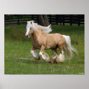 Bob Langrish   Palomino Gypsy Vanner Horse Running Poster