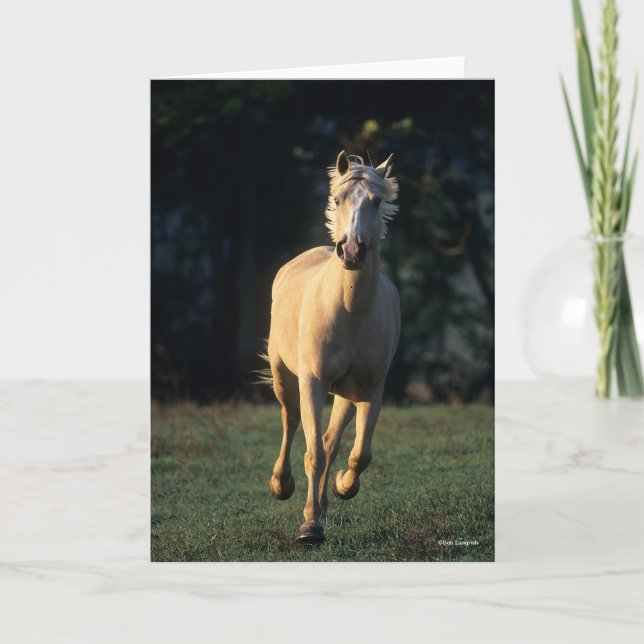 Bob Langrish | Palomino Horse Running Backlit Card (Front)