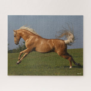 Bob Langrish Palomino Lusitano Stallion Leaping Jigsaw Puzzle