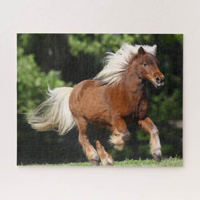 Bob Langrish | Palomino Miniature Pony Running Jigsaw Puzzle (Horizontal)