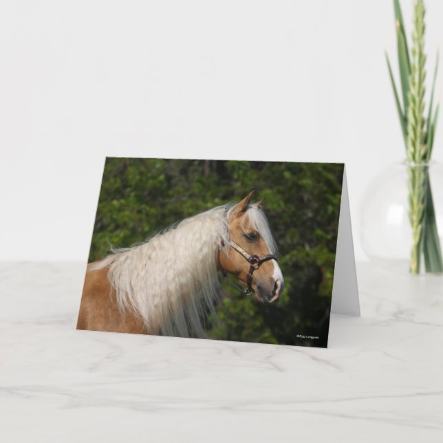 Bob Langrish | Palomino Quarter Horse Headshot Card (Front)