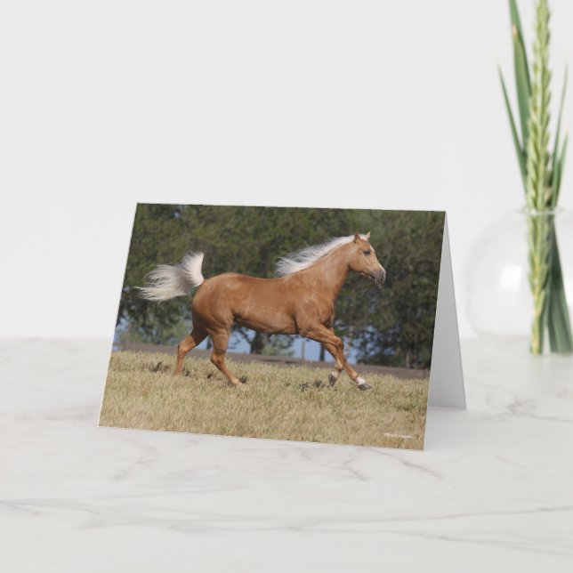 Bob Langrish | Palomino Quarter Horse Running Card (Front)