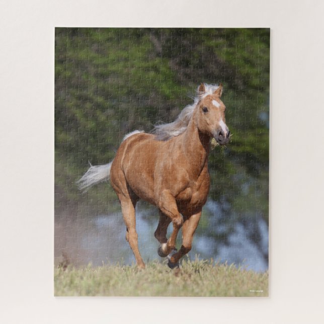 Bob Langrish | Palomino Quarter Horse Running Jigsaw Puzzle (Vertical)