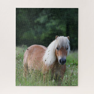 Bob Langrish Palomino Shetland Standing In Grass Jigsaw Puzzle