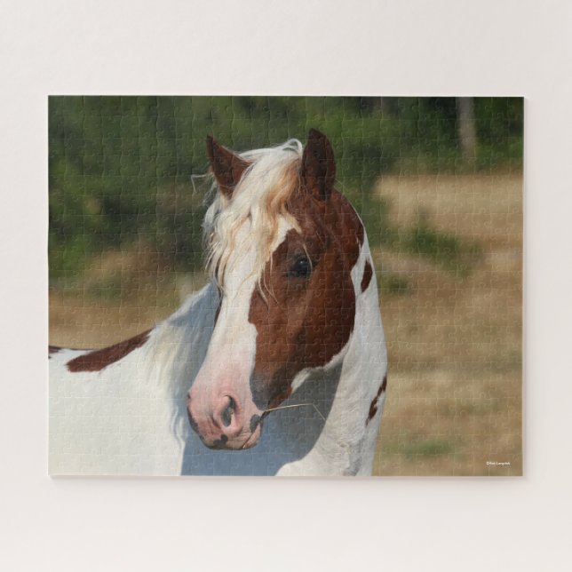 Bob Langrish | Pinto Haflinger Stallion Headshot Jigsaw Puzzle (Horizontal)