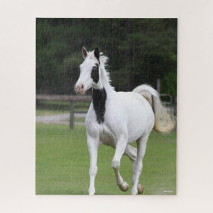 Bob Langrish Pinto Warmblood Jigsaw Puzzle