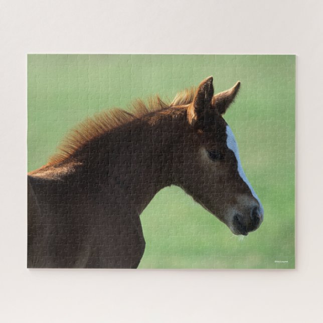 Bob Langrish | Quarter Horse Foal Backlit Jigsaw Puzzle (Horizontal)
