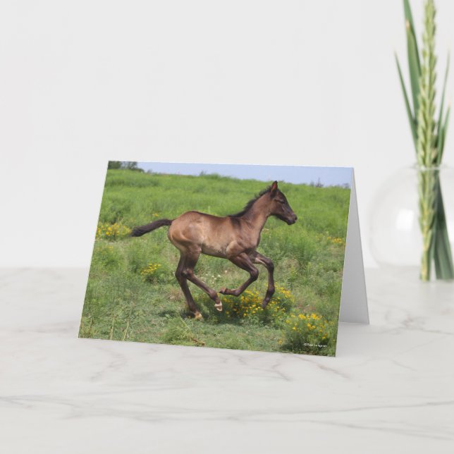 Bob Langrish | Quarter Horse Foal Running Card (Front)