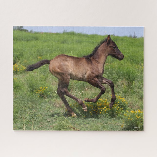 Bob Langrish | Quarter Horse Foal Running Jigsaw Puzzle (Horizontal)