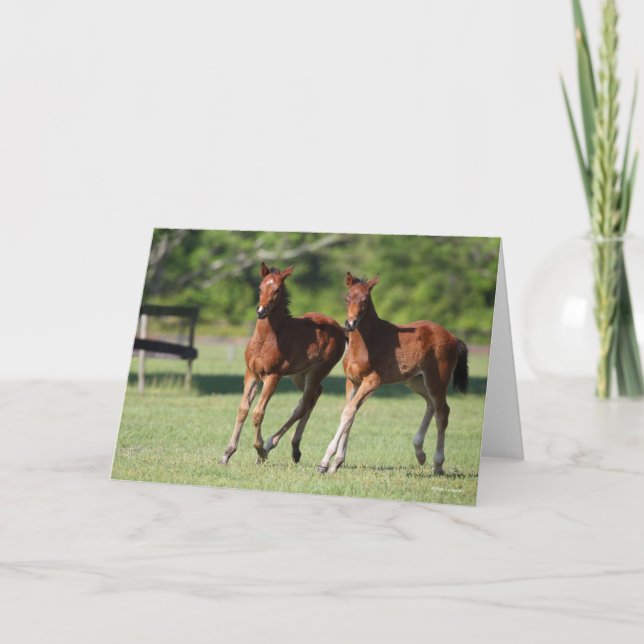 Bob Langrish | Quarter horse Foals Together Card (Front)