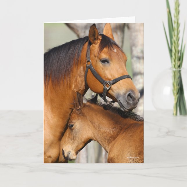 Bob Langrish Quarter Horse Mare and Foal Headshot Card (Front)