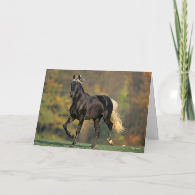 Bob Langrish | Rocky Mountain Horse Autumn Card (Front)