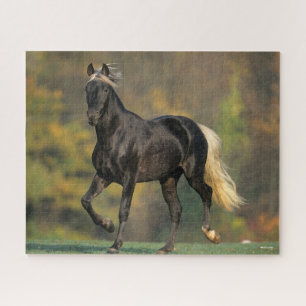Bob Langrish Rocky Mountain Horse Autumn Jigsaw Puzzle