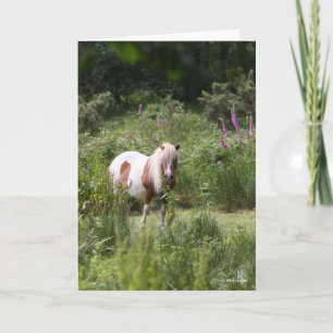 Bob Langrish   Shetland Pony Standing By Flowers Card