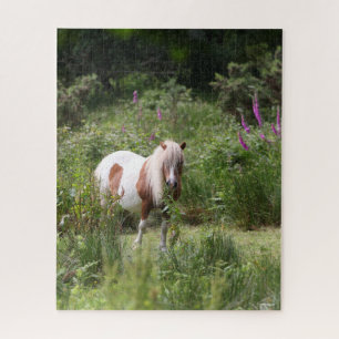 Bob Langrish Shetland Pony Standing By Flowers Jigsaw Puzzle