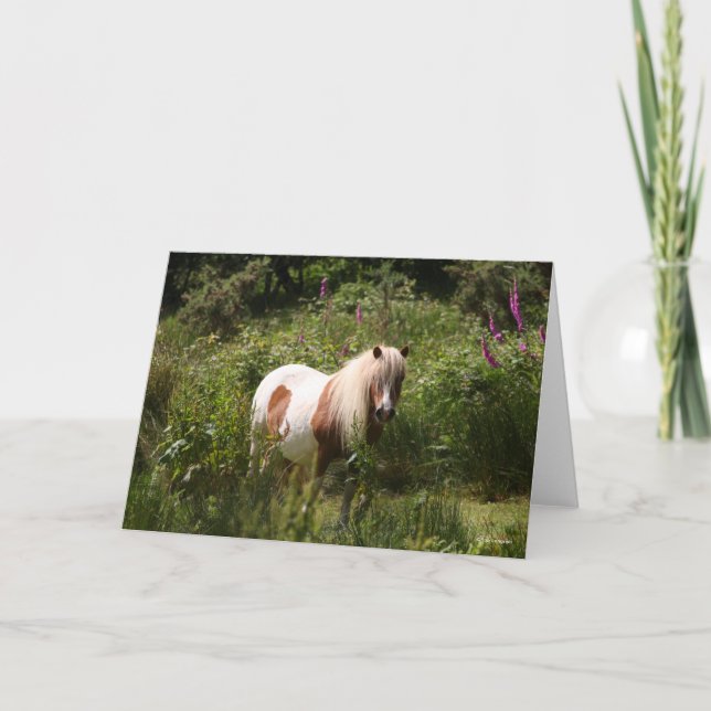 Bob Langrish | Shetland Pony Standing In Flowers Card (Front)