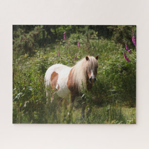 Bob Langrish Shetland Pony Standing In Flowers Jigsaw Puzzle