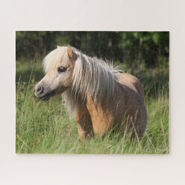 Bob Langrish Shetland Pony Standing in Long Grass Jigsaw Puzzle (Horizontal)