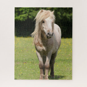 Bob Langrish Shetland Pony Standing Jigsaw Puzzle