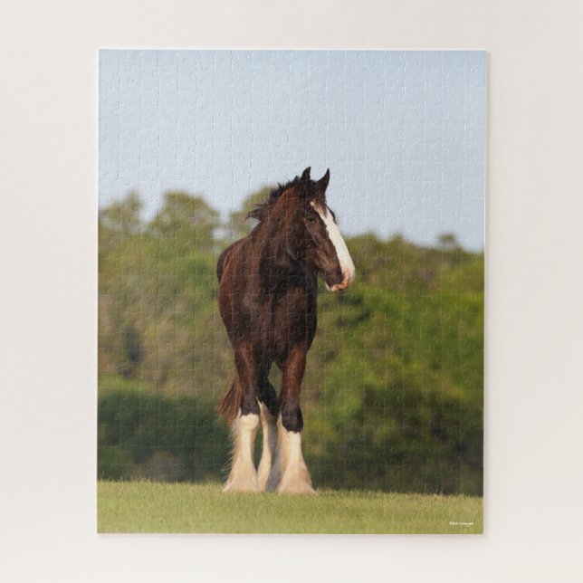 Bob Langrish | Shire Horse Standing In Field Jigsaw Puzzle (Vertical)