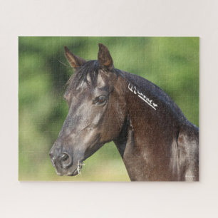 Bob Langrish   Spanish Mustang Mare Headshot Jigsaw Puzzle