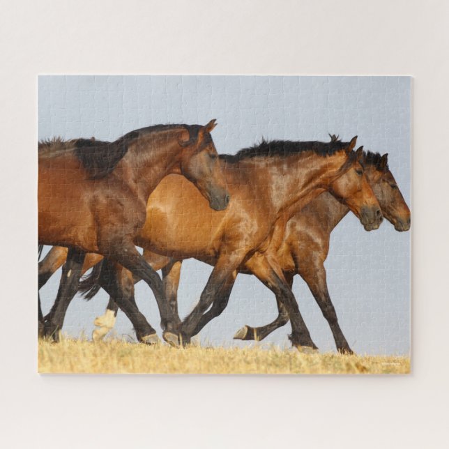 Bob Langrish | Three Andalucian Mares Running Jigsaw Puzzle (Horizontal)