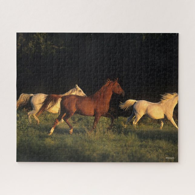 Bob Langrish Three Arabs Running In Evening Light Jigsaw Puzzle (Horizontal)