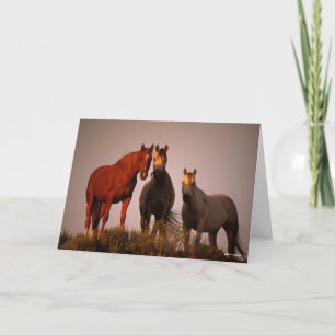 Bob Langrish   Three Arabs Standing In Sunset Card