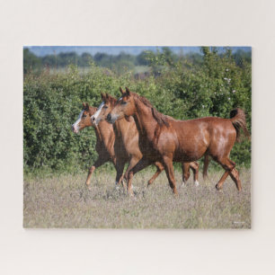 Bob Langrish Three Chestnut Arab Horses Together Jigsaw Puzzle