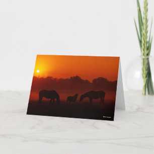Bob Langrish   Three Horses Grazing at Sunset Card