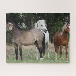 Bob Langrish Three Ponies Standing Together Jigsaw Puzzle
