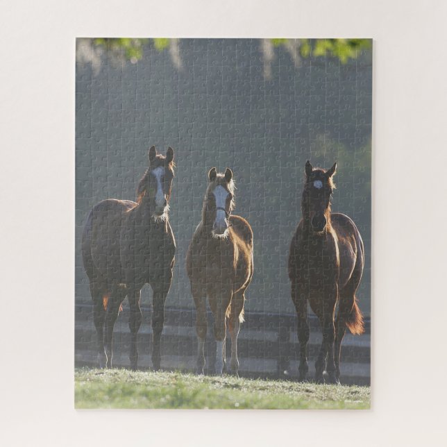 Bob Langrish | Three Quarter Horse Youngsters Jigsaw Puzzle (Vertical)