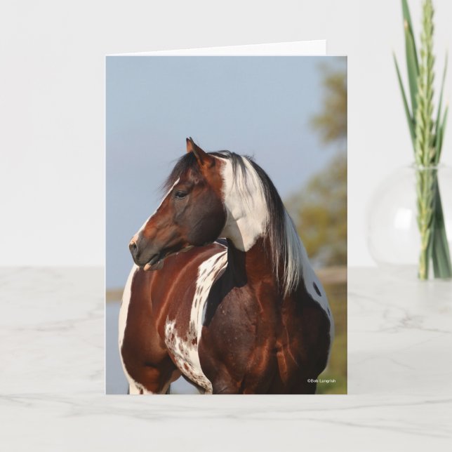 Bob Langrish | Tobiano Paint Stallion Headshot Card (Front)