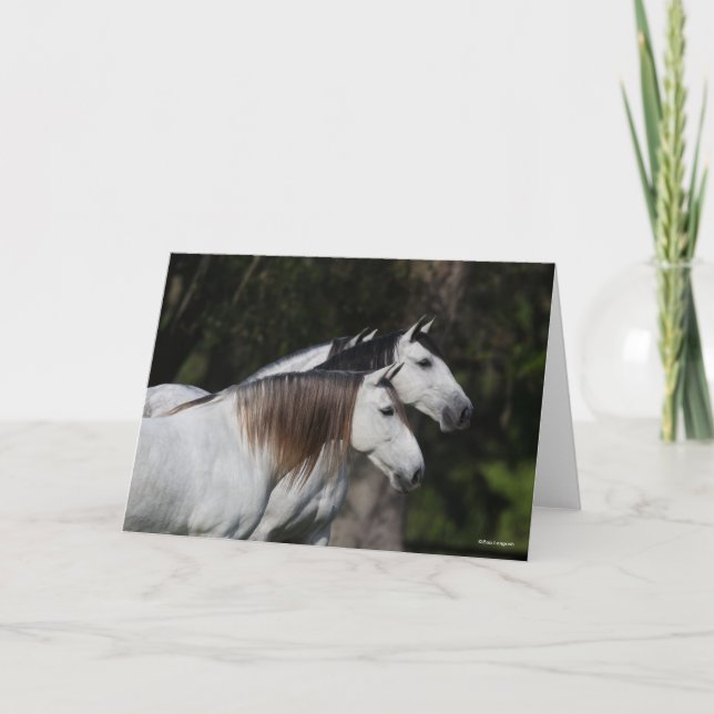 Bob Langrish | Two Andalucians Standing Together Card (Front)