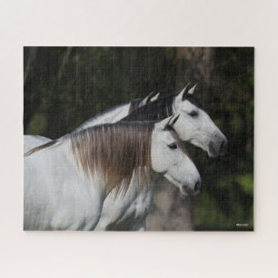 Bob Langrish Two Andalucians Standing Together Jigsaw Puzzle