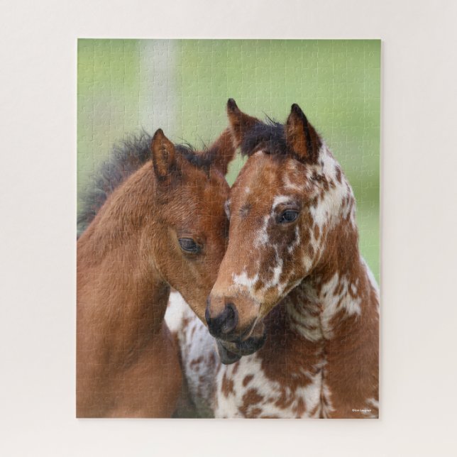 Bob Langrish | Two Appaloosa Foals Meeting Jigsaw Puzzle (Vertical)