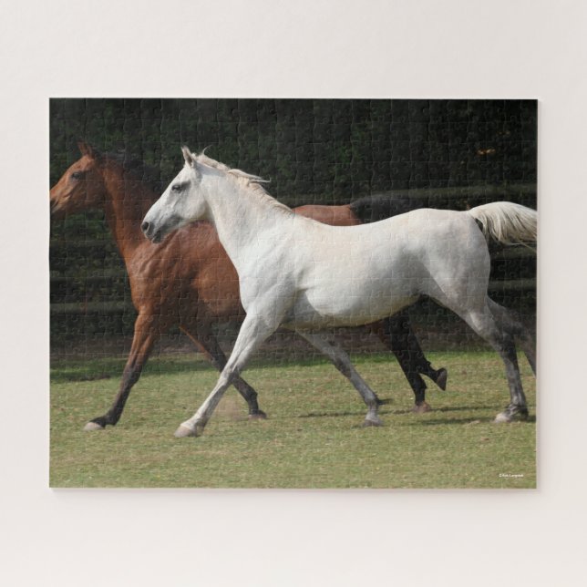 Bob Langrish | Two Arab Horses Runnng Together Jigsaw Puzzle (Horizontal)