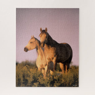 Bob Langrish Two Arab Horses Standing at Sunset Jigsaw Puzzle