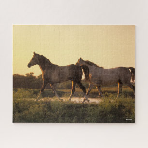 Bob Langrish Two Arab Horses Walking at Sunset Jigsaw Puzzle